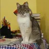 Отзыв от Галина Косарева